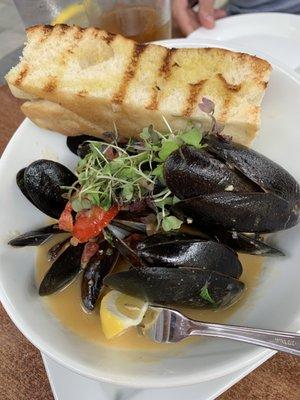 Drunk and Angry Mussels