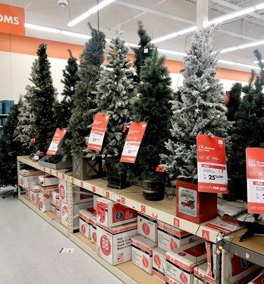 Christmas Trees