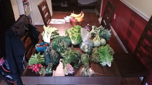 The abundance of vegetables from an early summer CSA share picked up from the friendly folks at old city farm & guild!