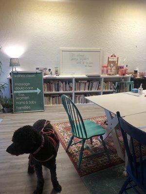 Gathering and teaching space. The service dog accompanies one of the massage therapist. She's a sweetheart.