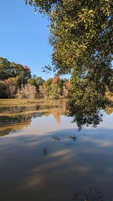 Restoration Park