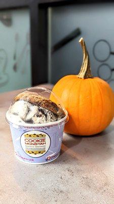 Small cookies and cream ice cream with chocolate chip cookie