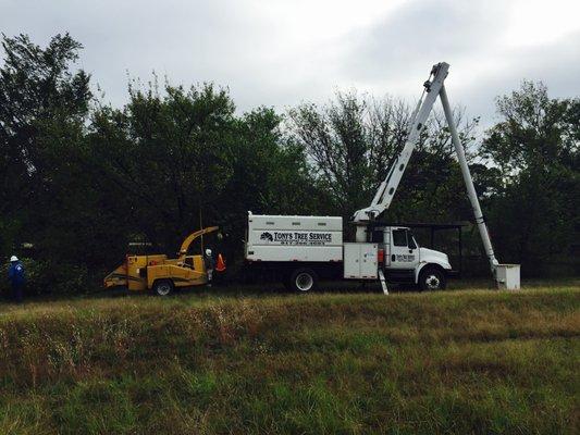 Tony's Tree Service