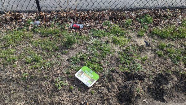 Rotten turkey meat in parking lot, along with liquor bottles beer cans... Cigarette butts and trash everywhere.