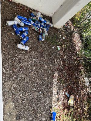 These cans have been here for months SMH