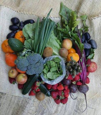 spring CSA box #healthyfamily