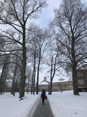 Campus in wintertime