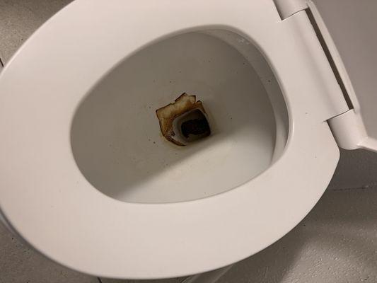 My toilet was broken for almost a year. Kept putting orders in and no one would come fix it