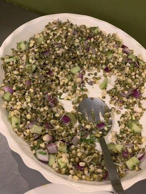 Sprouted Lentil salad