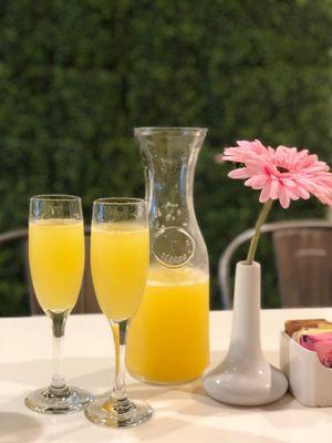 Mimosas