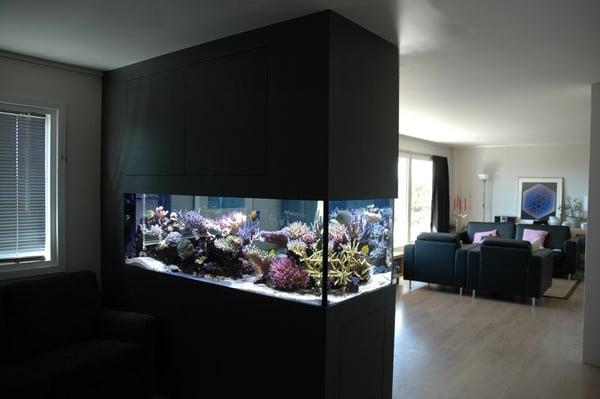 240 gal Modern Peninsula Reef