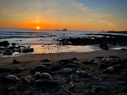 Awesome sunset views from the vista point boardwalk