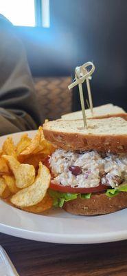 Chicken salad sandwich