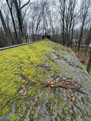 Before Moss Removal in Woodbridget,CT