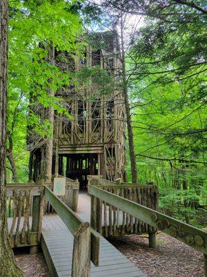 Treehouse behind the center