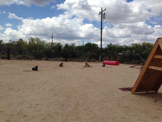 Tucson K-9 Learning Center