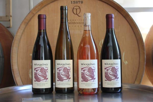 Pinot Noir, Riesling, Rosé and Syrah