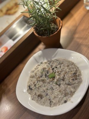 Mushroom risotto in Spain