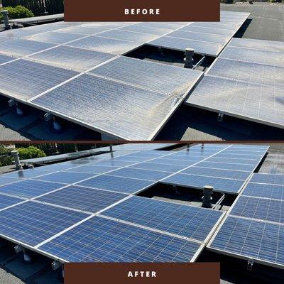 Solar panel cleaning services