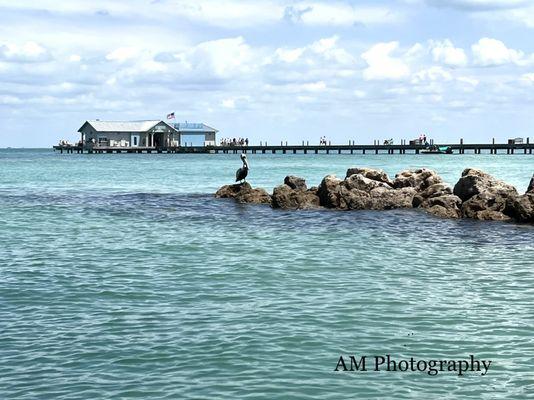 AMI City Pier picture while delivering a boat to a client with a dock.