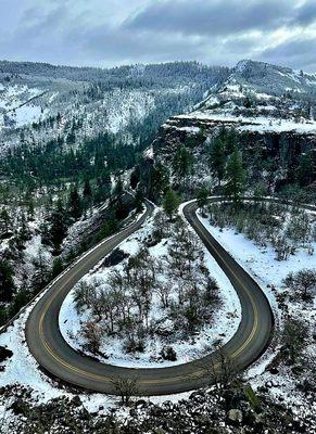 Snow kissed Rowena Crest