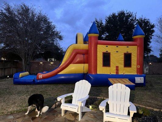 Froggy's Bounce House