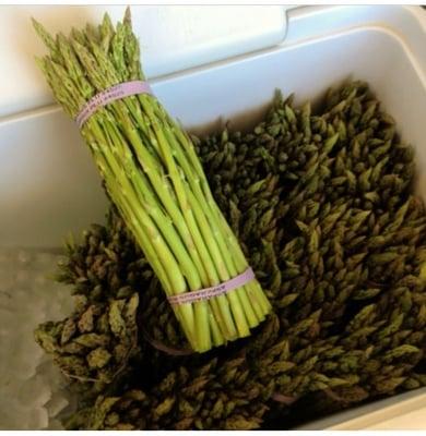 Waialua grown fresh skinny asparagus