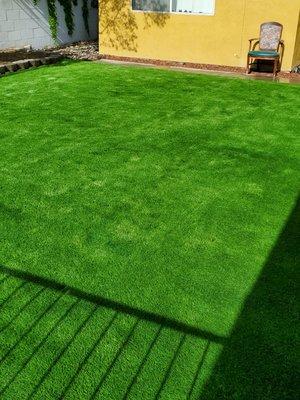 installation of artificial grass