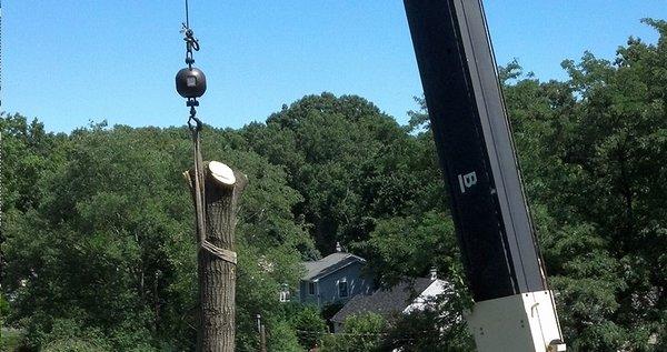 Crane Services -  Utilizing the most up-to-date technology and equipment, Mahwah Tree Corporation is able to handle any job.