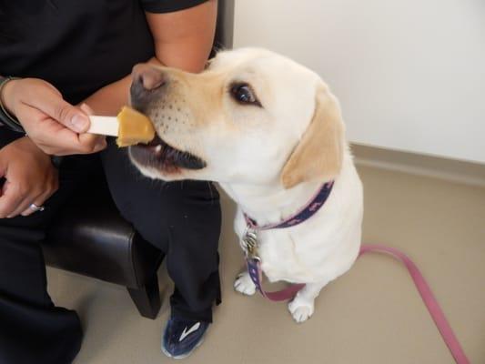 Frozen treats!