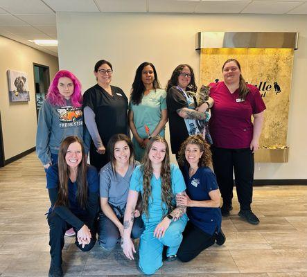 Del Valle Pet Hospital