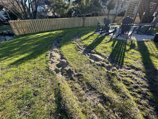 What idiot company runs a backhoe on a freshly established lawn without a plywood highway at least?  Not JT Jones. Morons, the lot of them.