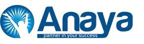 Anaya Associates PLLC, CPA Firm.  www.anaya-associates.com