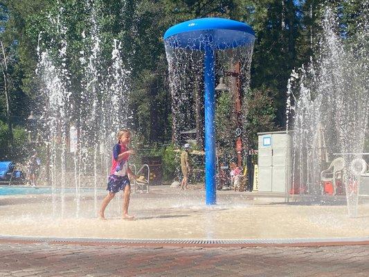 Splash pad and kiddie pool for the littles