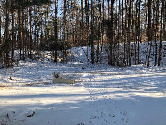 The view from our backyard after it snowed this year.