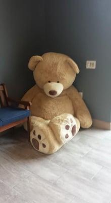 Charlie the Bear to welcome you in our waiting room!