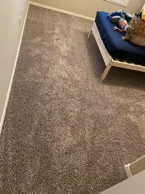 Carpet Cleaning