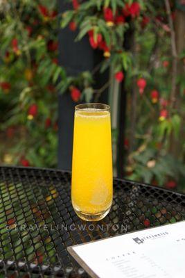 Mimosa