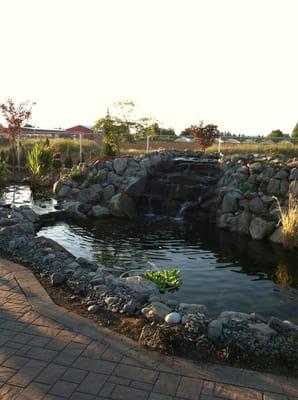 Beautiful new feature pond and patio at Creative Visions Landscaping.