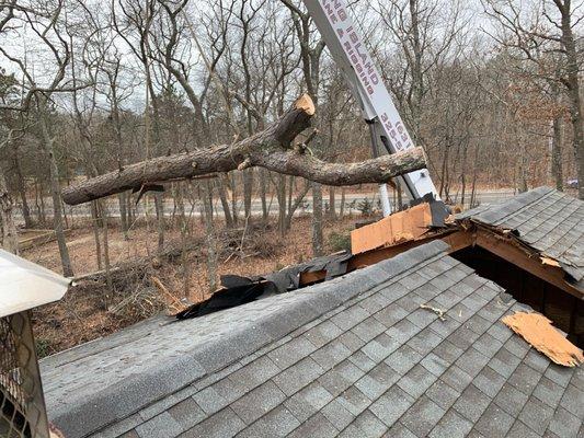 Storm damage crane work