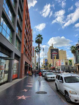 Amoeba Music