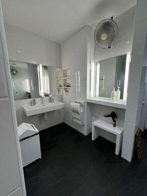 Sinks and vanity mirror