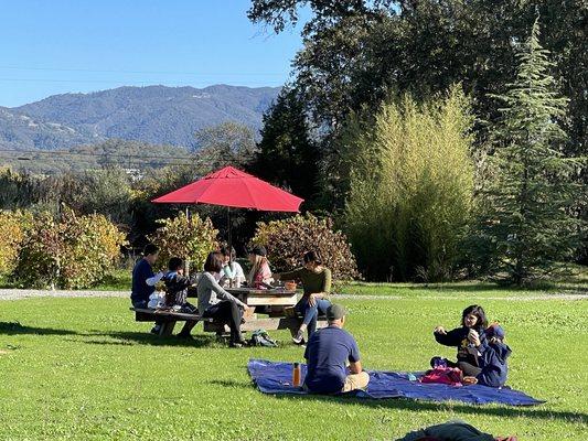 Picnic areas at Terra Savia