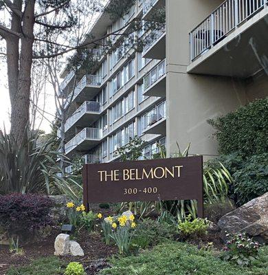 The Belmont