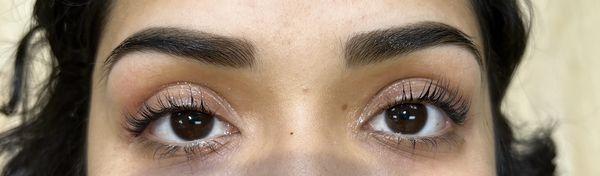 Eyebrow Clean & Tint  Eyelash Lift & Tint