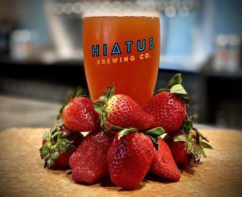 Hiatus Brewing Company