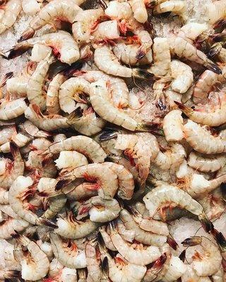 Shrimp anyone?