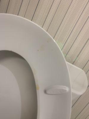 Old urine on the toilet seat.