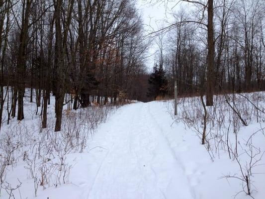 Hiking/snowshoeing/cross country trail.