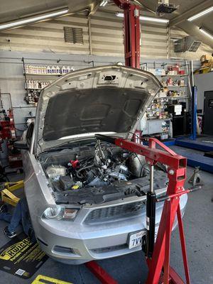 2011 mustang engine swap